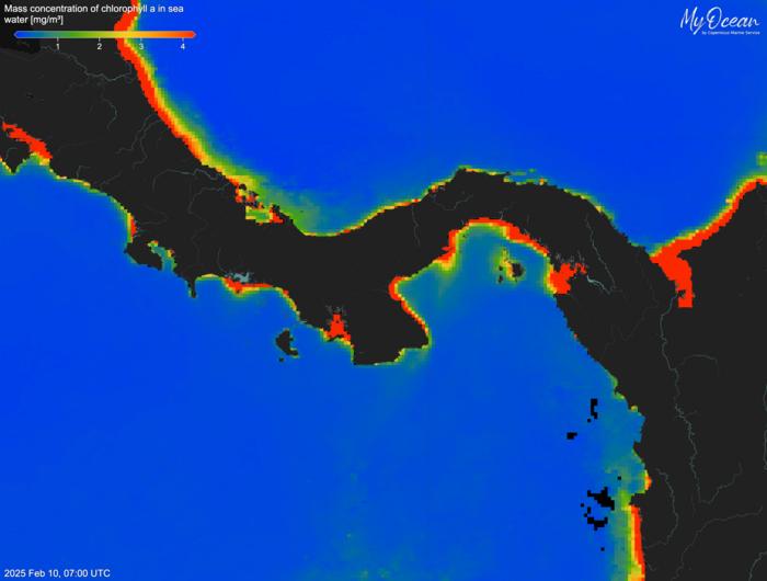 Äärmiselt madalad klorofülli kontsentratsioonid Panamat ümbritsevates vetes (sinine = madal, punane = kõrge) 2025. aasta veebruaris, mis näitavad 2025. aasta upwelling’u ärajäämist Panamalahel — esimest korda vähemalt 40 aasta jooksul. Foto Aaron O’Dea