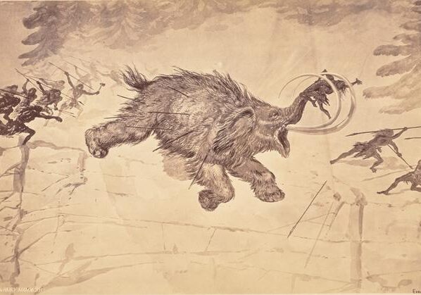 Prehistoric humans hunt a woolly mammoth. More and more research shows that this species – and at least 46 other species of megaherbivores – were driven to extinction by humans. CREDIT Engraving by Ernest Grise, photographed by William Henry Jackson. Courtesy Getty's Open Content Program USAGE RESTRICTIONS No restrictions.