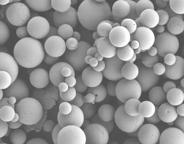 Mikroosakesed, mis sisaldavad immuunmoduleerivat ühendit CCL2. Foto Julie Kobyra