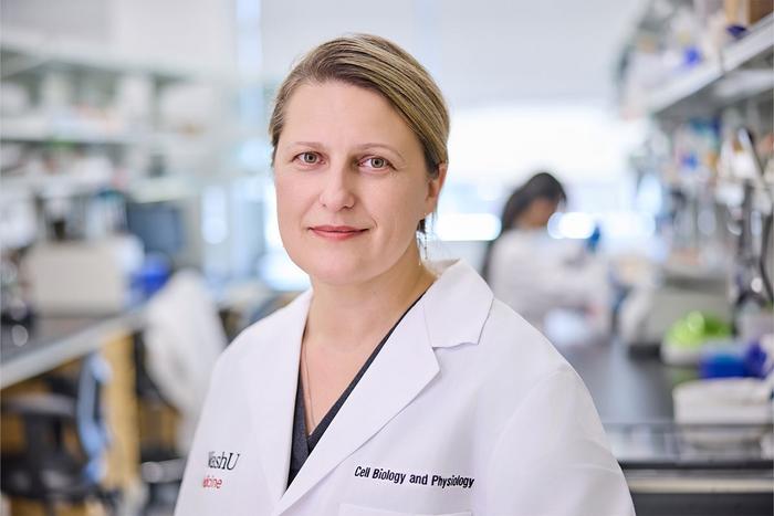 WashU meditsiiniteadlane Polina Lishko, PhD, BJC uurija ja rakubioloogia ja füsioloogia professor, on hiirtel näidanud, et spermal on temperatuuriga kontrollitav lüliti, mis muudab nende liikumist ja on meeste viljakuse võtmeks. Avastus heidab valgust sellele, miks imetajad, sealhulgas inimesed, on arenenud hoidma meeste suguelundeid jahedamana kui nende kehatemperatuur. Foto Matt Miller, WashU Medicine