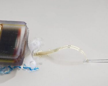 An implantable electronic device safely restored movement to rats following spinal cord injuries.