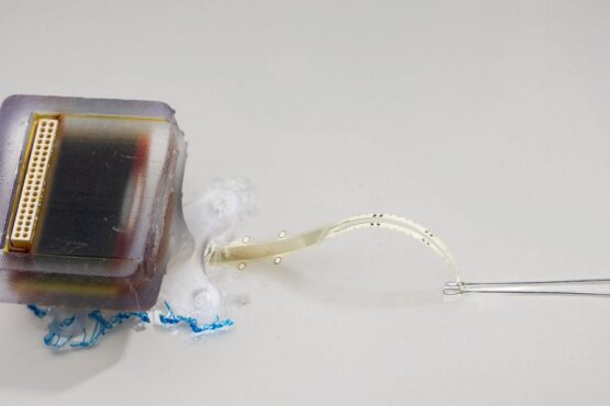 An implantable electronic device safely restored movement to rats following spinal cord injuries.