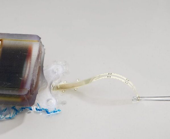 An implantable electronic device safely restored movement to rats following spinal cord injuries.