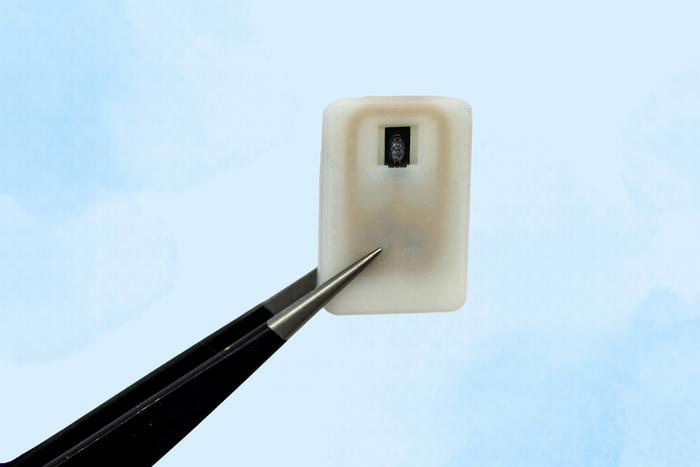 A new implantable device carries a reservoir of glucagon that can be stored under the skin and could save diabetes patients from dangerously low blood sugar. MIT