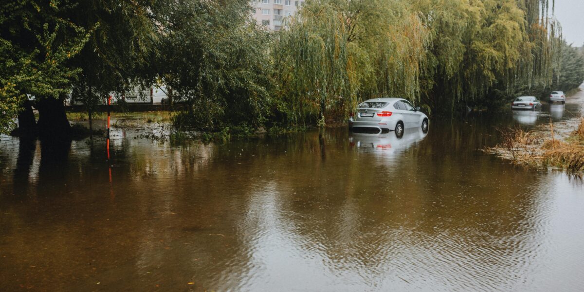 Photo by Helena Jankovičová Kováčová: https://www.pexels.com/photo/flooded-road-with-submerged-cars-and-trees-28447763/