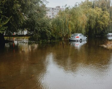 Photo by Helena Jankovičová Kováčová: https://www.pexels.com/photo/flooded-road-with-submerged-cars-and-trees-28447763/