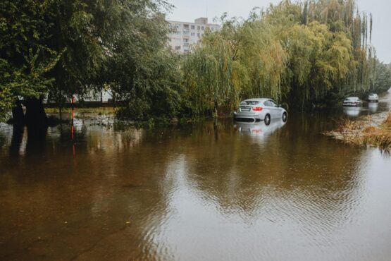 Photo by Helena Jankovičová Kováčová: https://www.pexels.com/photo/flooded-road-with-submerged-cars-and-trees-28447763/