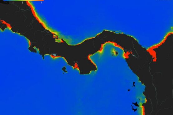 Äärmiselt madalad klorofülli kontsentratsioonid Panamat ümbritsevates vetes (sinine = madal, punane = kõrge) 2025. aasta veebruaris, mis näitavad 2025. aasta upwelling’u ärajäämist Panamalahel — esimest korda vähemalt 40 aasta jooksul. Foto Aaron O’Dea