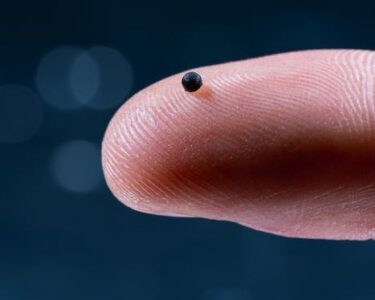 Foto-Luca-Donati-ja-lad.studio-Zurich