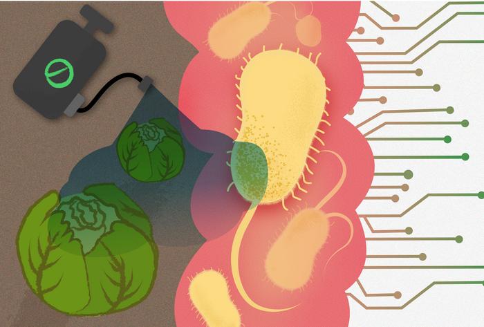 Pestitsiidid mürgitavad inimese häid soolebaktereid