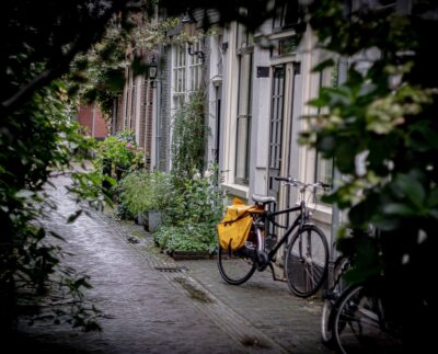 Image by Jhnndy from Pixabay