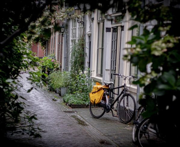 Image by Jhnndy from Pixabay