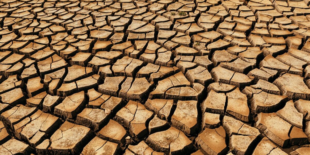 Photo by Joetography: https://www.pexels.com/photo/arid-wasteland-in-the-desert-6438729/