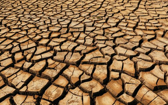 Photo by Joetography: https://www.pexels.com/photo/arid-wasteland-in-the-desert-6438729/