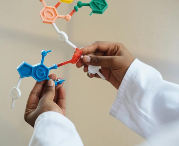 Photo by RF._.studio _: https://www.pexels.com/photo/crop-chemist-holding-in-hands-molecule-model-3825527/