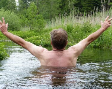 Image by Silvia from Pixabay