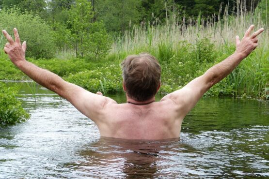 Image by Silvia from Pixabay