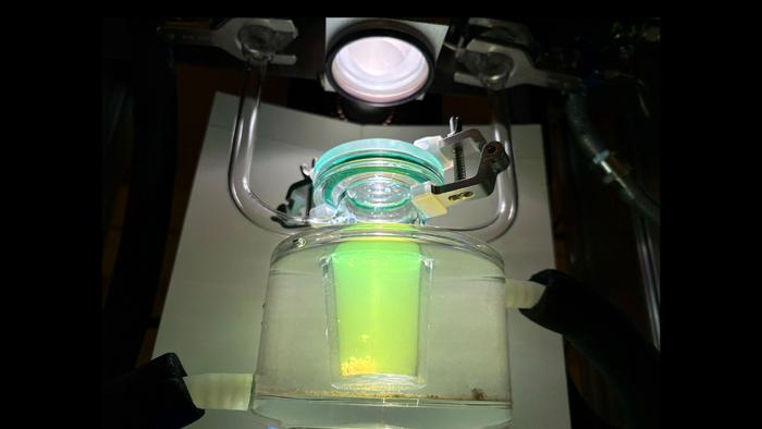 Odav vesinik ilma plaatinat kasutamata