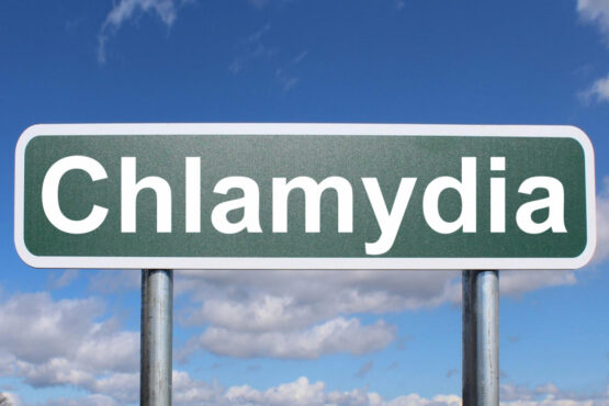 Chlamydia by Nick Youngson CC BY-SA 3.0 Pix4free