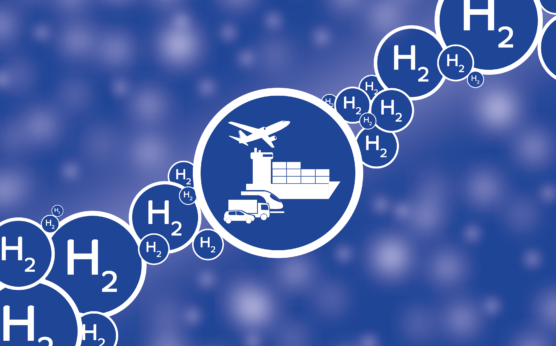 Image by Roman from Pixabay