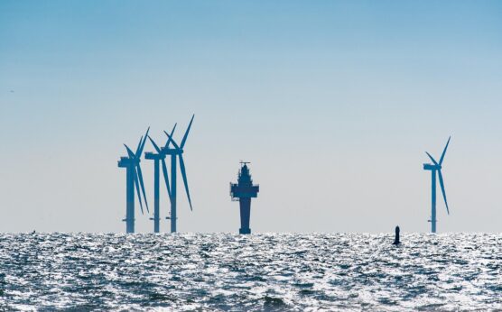 Image by Uwe from Pixabay