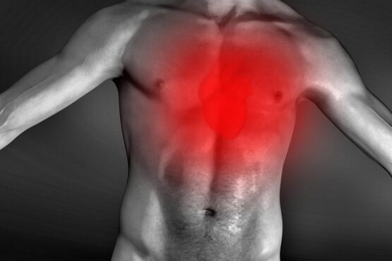 Image by Tumisu from Pixabay