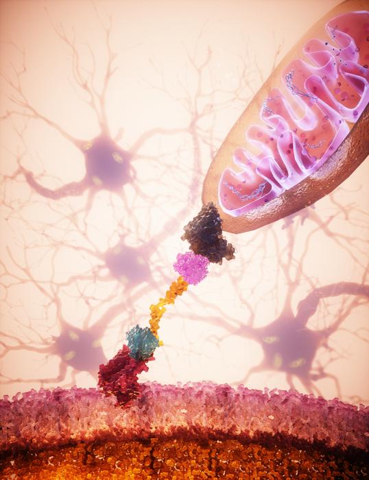 Uus lootus raskete haiguste ravis