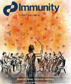 The review article “Immunological memory to vaccines” was featured in a special issue of the journal Immunity. The journal cover art was created by LJI Instructor Ester Marina Zarate, Ph.D