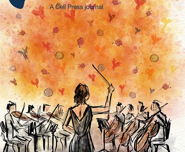 The review article “Immunological memory to vaccines” was featured in a special issue of the journal Immunity. The journal cover art was created by LJI Instructor Ester Marina Zarate, Ph.D