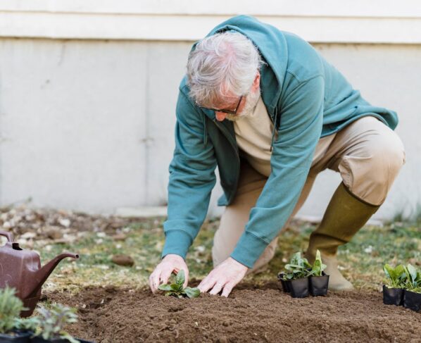 Gardening aiandus